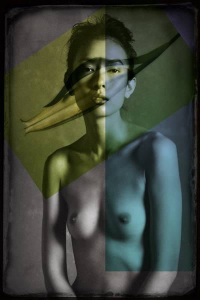 Photograph Gerhard Merzeder Art Collage on One Eyeland